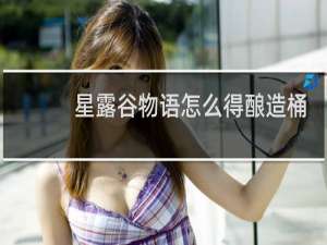 星露谷物语怎么得酿造桶