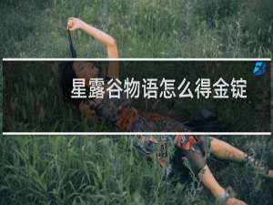 星露谷物语怎么得金锭