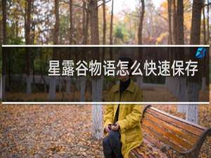 星露谷物语怎么快速保存