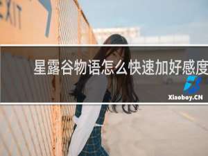 星露谷物语怎么快速加好感度