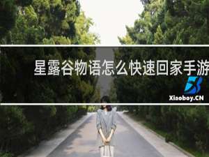 星露谷物语怎么快速回家手游