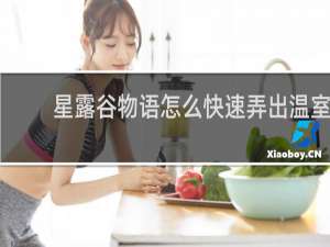 星露谷物语怎么快速弄出温室