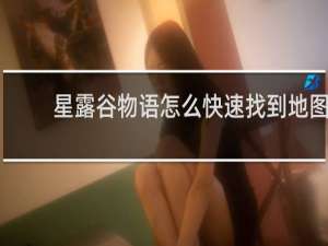 星露谷物语怎么快速找到地图