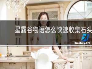 星露谷物语怎么快速收集石头