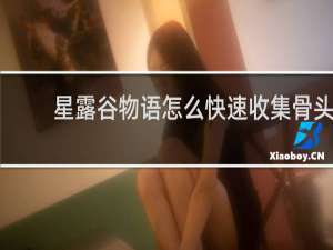 星露谷物语怎么快速收集骨头