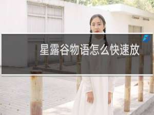 星露谷物语怎么快速放