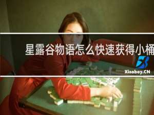 星露谷物语怎么快速获得小桶