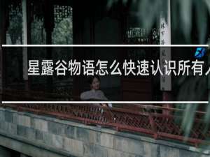星露谷物语怎么快速认识所有人