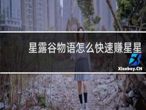 星露谷物语怎么快速赚星星