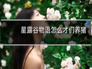 星露谷物语怎么才们养猪