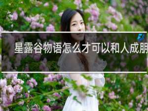 星露谷物语怎么才可以和人成朋友