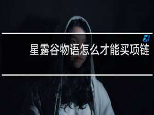 星露谷物语怎么才能买项链