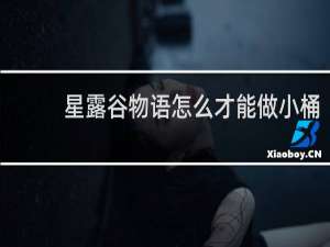 星露谷物语怎么才能做小桶