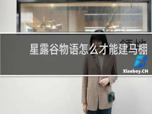 星露谷物语怎么才能建马棚