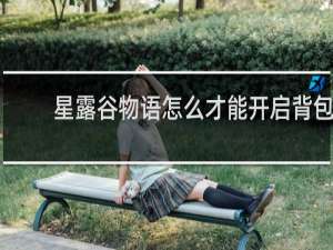 星露谷物语怎么才能开启背包