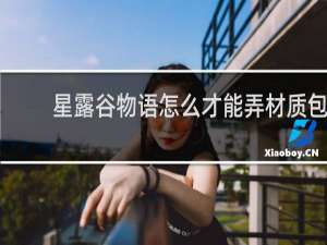 星露谷物语怎么才能弄材质包