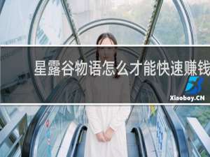 星露谷物语怎么才能快速赚钱