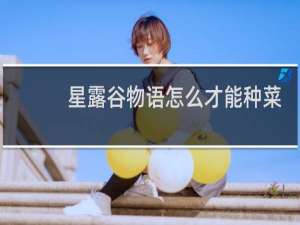 星露谷物语怎么才能种菜