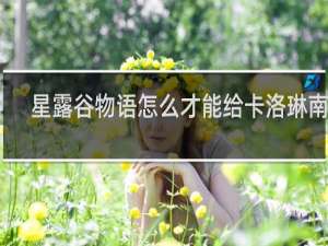 星露谷物语怎么才能给卡洛琳南瓜