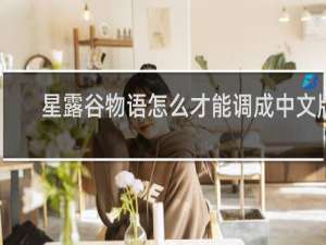 星露谷物语怎么才能调成中文版