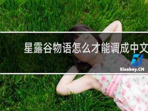 星露谷物语怎么才能调成中文