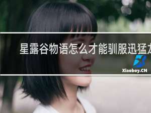 星露谷物语怎么才能驯服迅猛龙