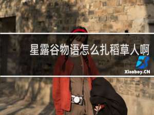 星露谷物语怎么扎稻草人啊