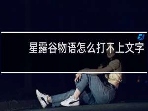 星露谷物语怎么打不上文字