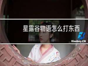 星露谷物语怎么打东西