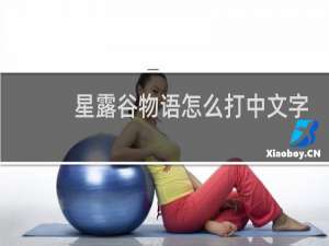 星露谷物语怎么打中文字