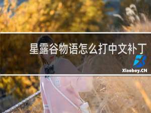 星露谷物语怎么打中文补丁