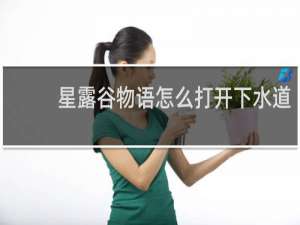 星露谷物语怎么打开下水道