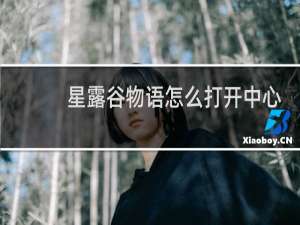 星露谷物语怎么打开中心