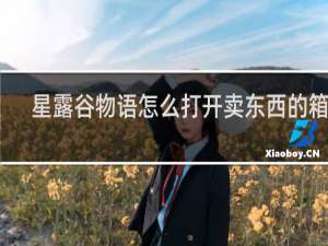 星露谷物语怎么打开卖东西的箱子