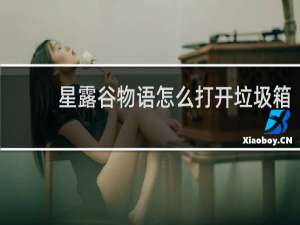 星露谷物语怎么打开垃圾箱