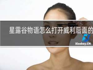 星露谷物语怎么打开威利后面的门