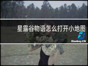 星露谷物语怎么打开小地图