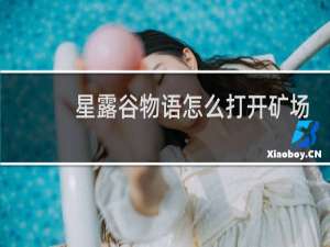 星露谷物语怎么打开矿场