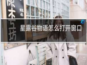 星露谷物语怎么打开窗口