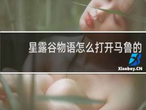 星露谷物语怎么打开马鲁的