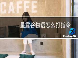 星露谷物语怎么打指令