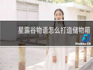 星露谷物语怎么打造储物箱