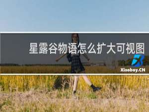 星露谷物语怎么扩大可视图