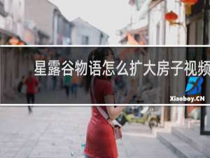 星露谷物语怎么扩大房子视频