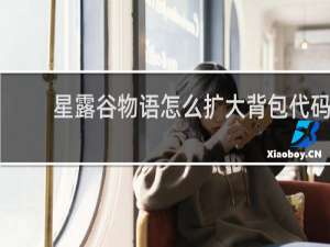 星露谷物语怎么扩大背包代码