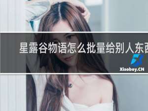 星露谷物语怎么批量给别人东西