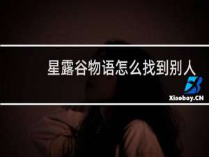星露谷物语怎么找到别人