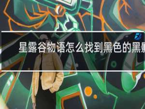 星露谷物语怎么找到黑色的黑影