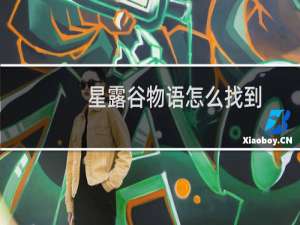 星露谷物语怎么找到