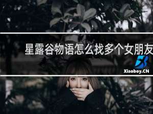 星露谷物语怎么找多个女朋友